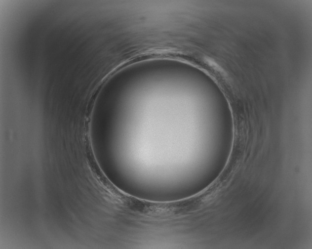 X0000075361361200609151626