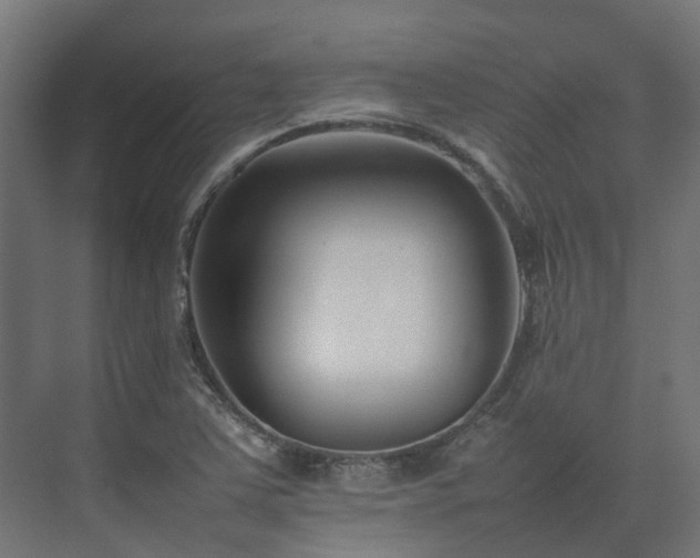 X0000075361363200609151626