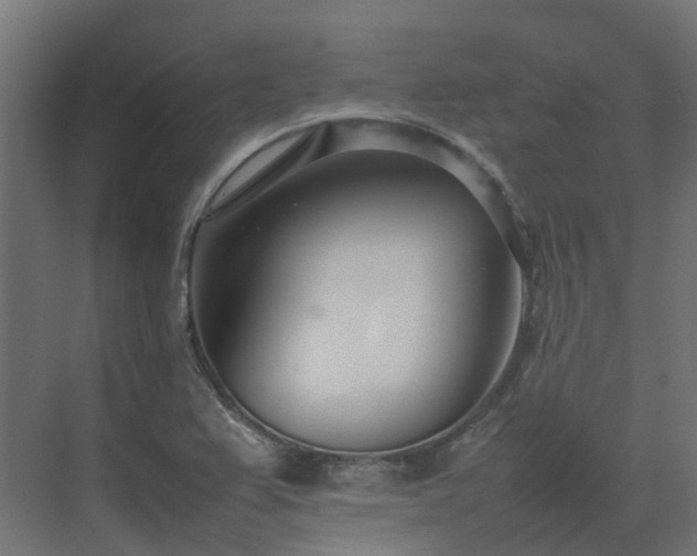 X0000075361367200609151626