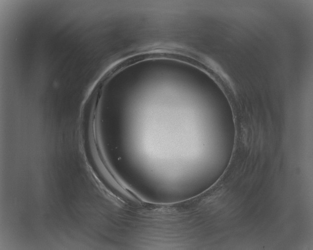 X0000075361368200609151626