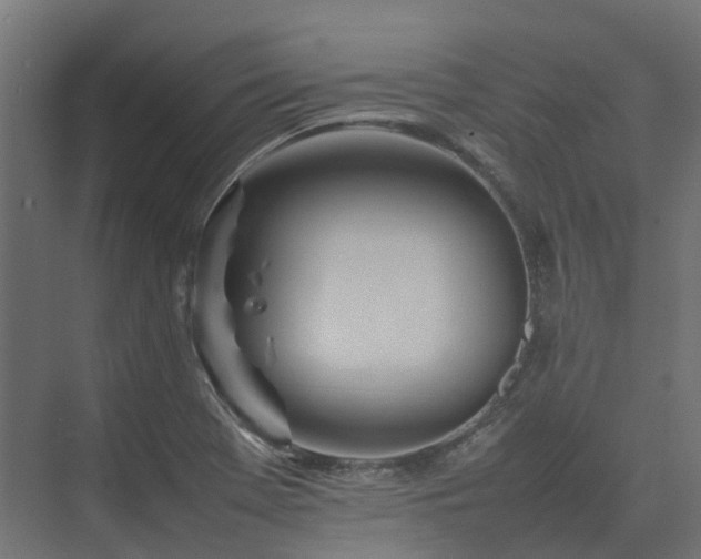 X0000075361369200609151626