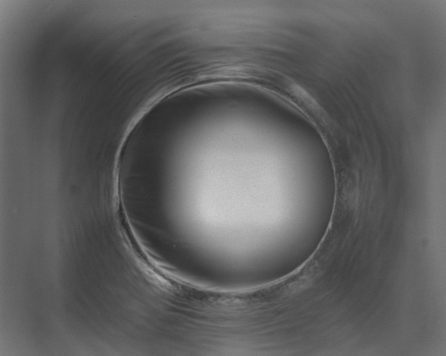 X0000075361370200609151626