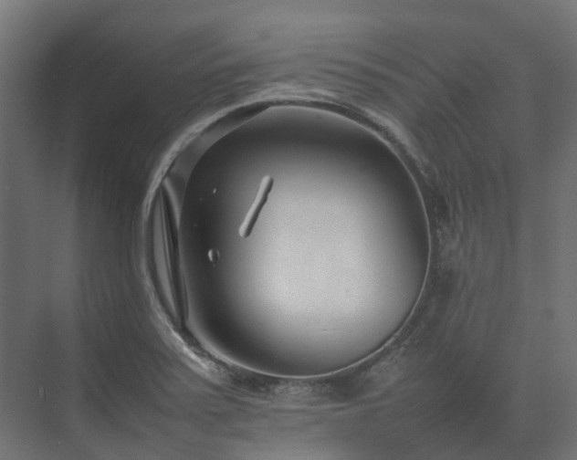 X0000075361371200609151626