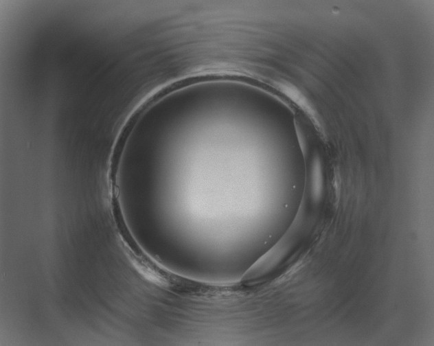 X0000075361372200609151626