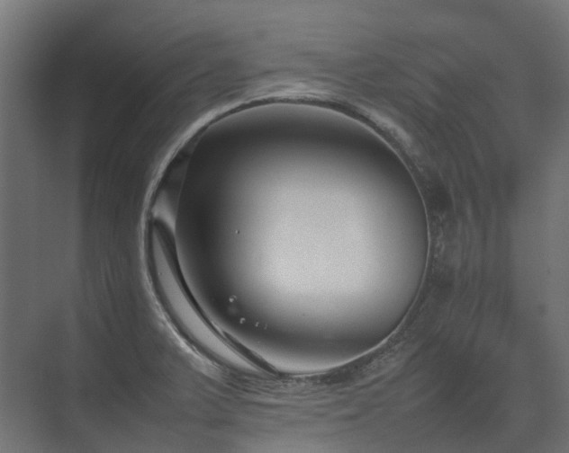 X0000075361375200609151626