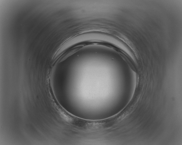 X0000075361377200609151626