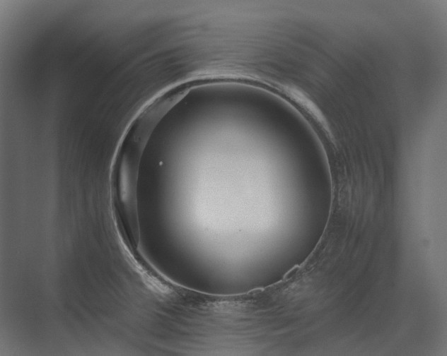 X0000075361380200609151625