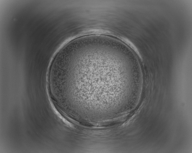 X0000075361381200609151625