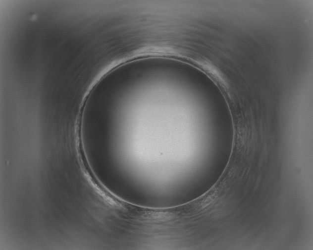 X0000075361382200609151625