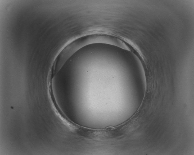 X0000075361383200609151625