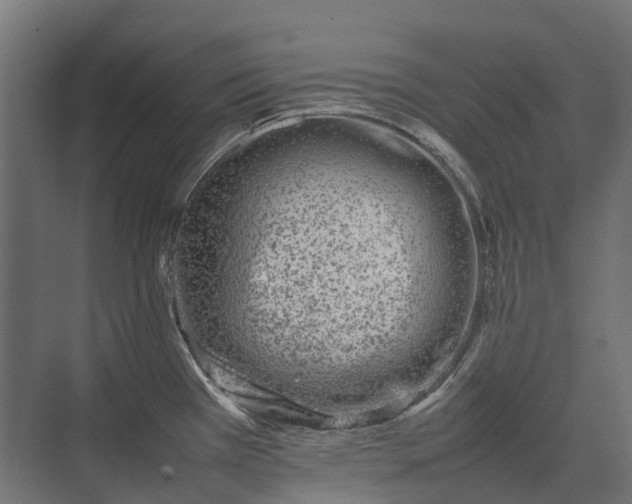 X0000075361385200609151625