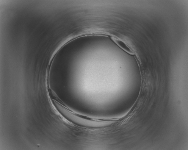 X0000075361390200609151625