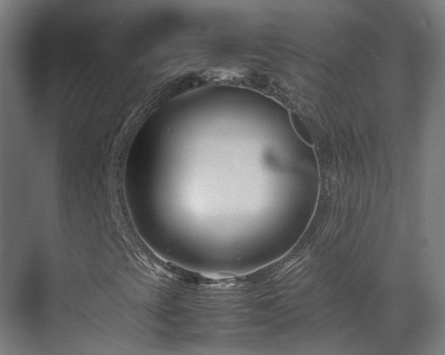 X0000075361393200609151624