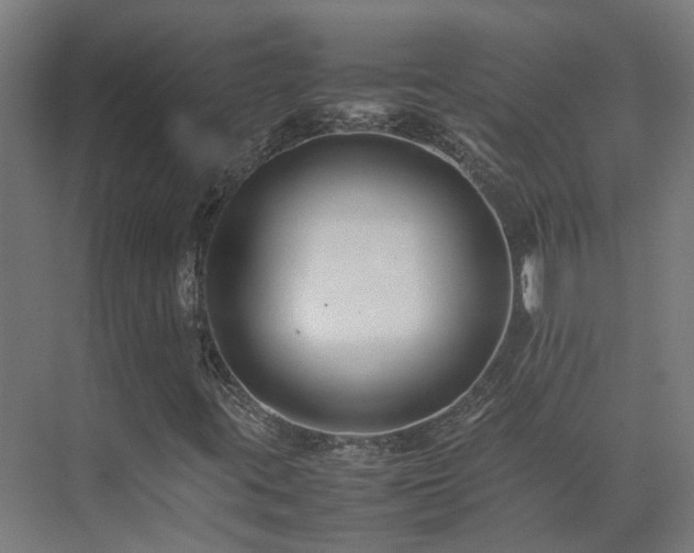 X0000075361395200609151625