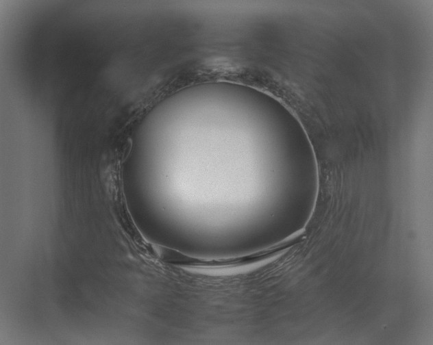 X0000075361397200609151625