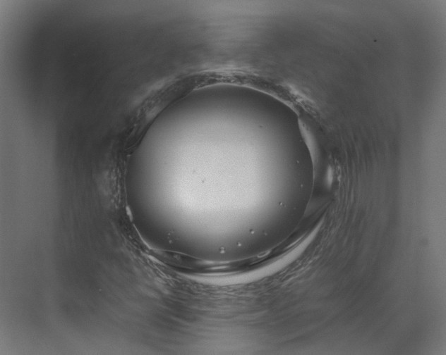 X0000075361398200609151625