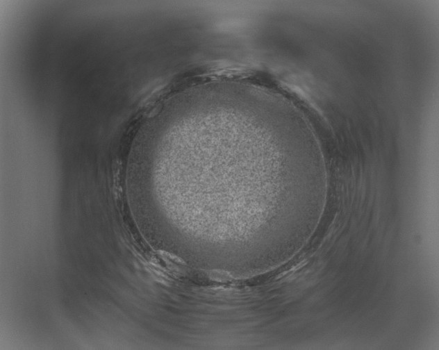 X0000075361399200609151625