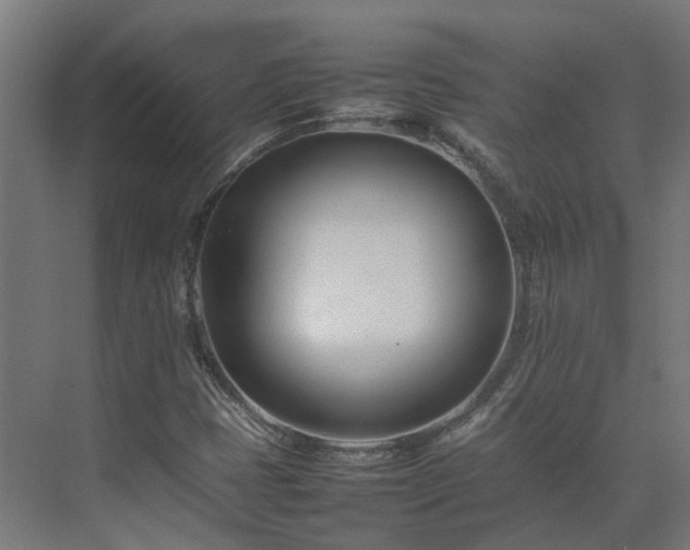 X0000075361401200609151625