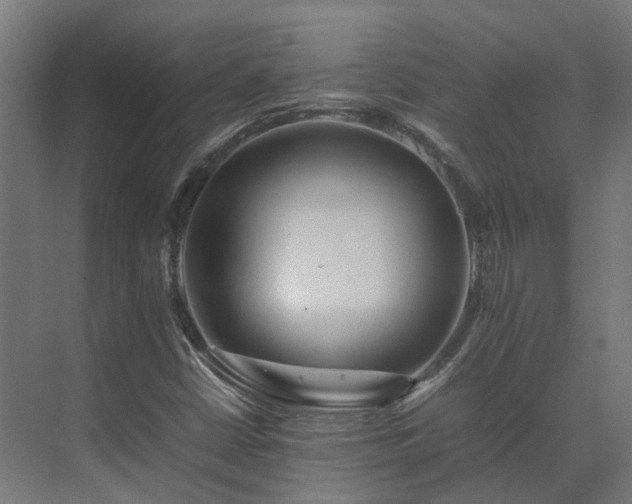 X0000075361402200609151625