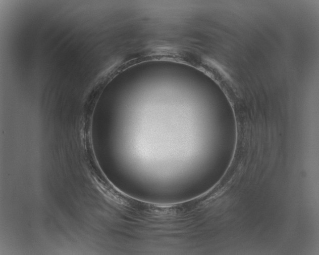 X0000075361403200609151625