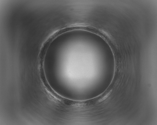 X0000075361406200609151625