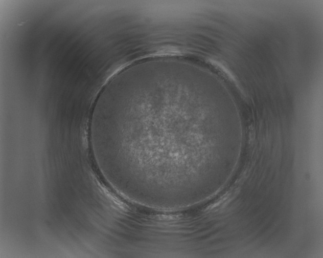 X0000075361409200609151625