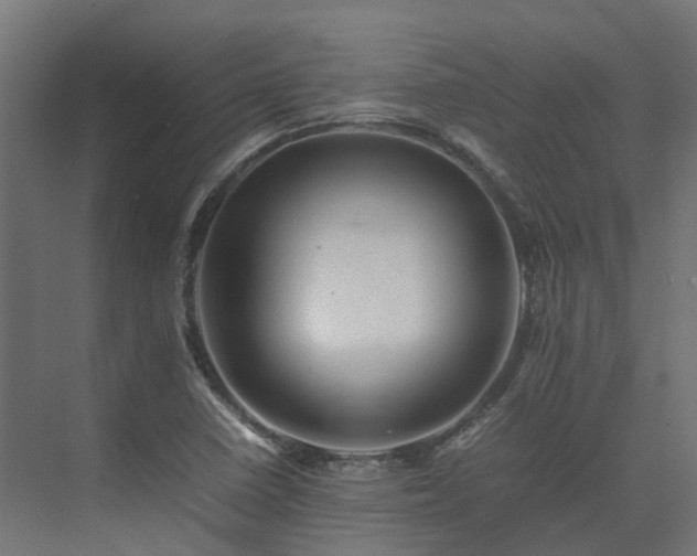 X0000075361410200609151625