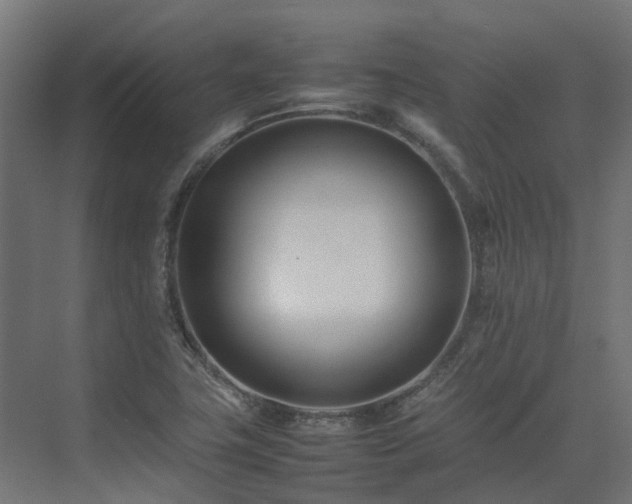 X0000075361411200609151625