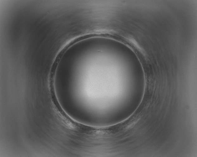 X0000075361412200609151625