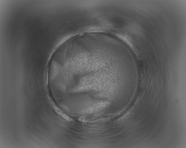 X0000075361413200609151625