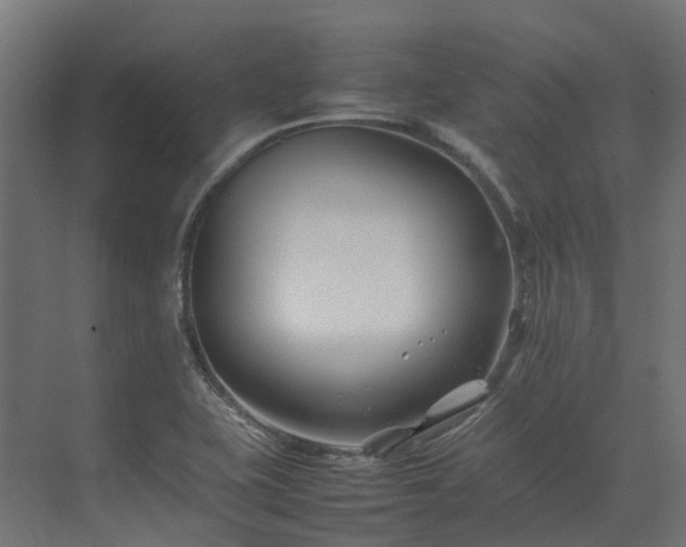 X0000075361415200609151625