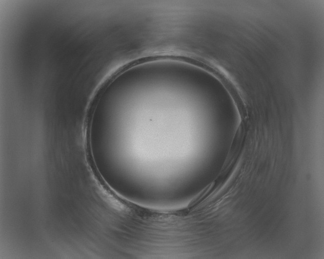 X0000075361416200609151625