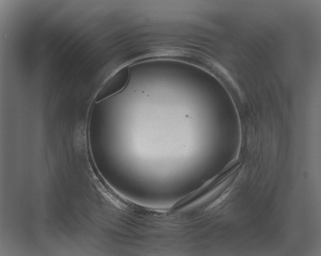 X0000075361417200609151625