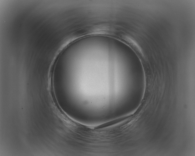 X0000075361419200609151625