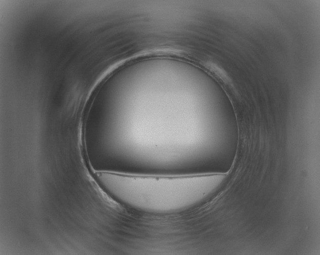 X0000075361420200609151625