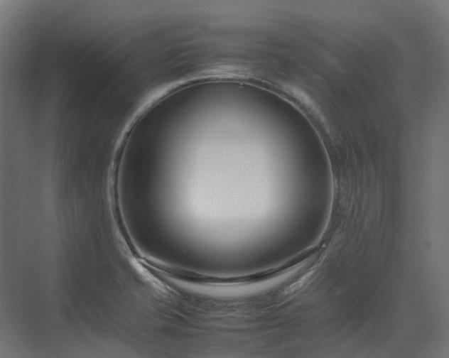 X0000075361421200609151625