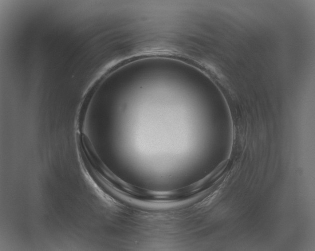 X0000075361422200609151625