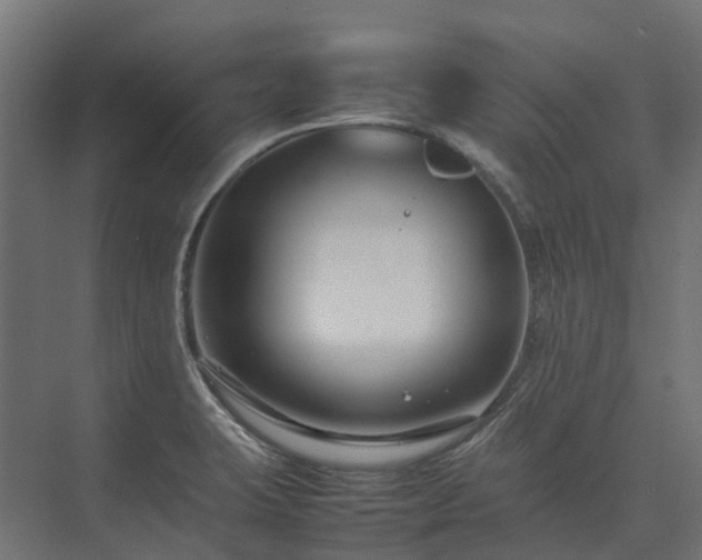 X0000075361423200609151625