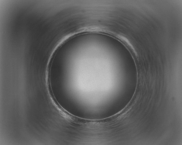 X0000075361424200609151625