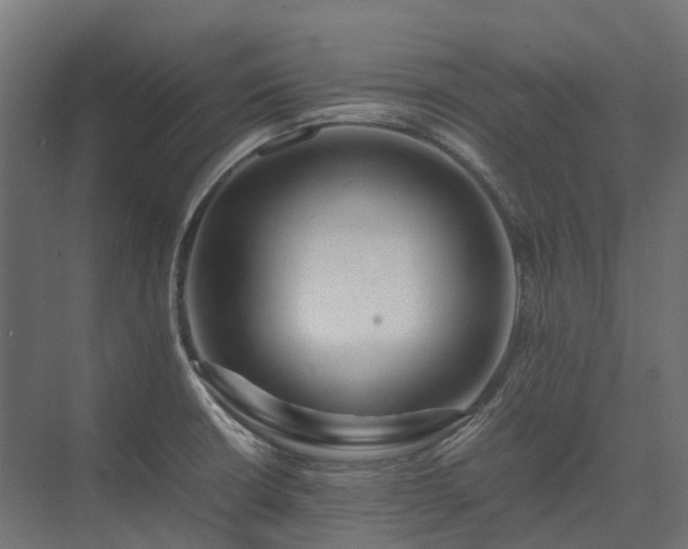 X0000075361426200609151625