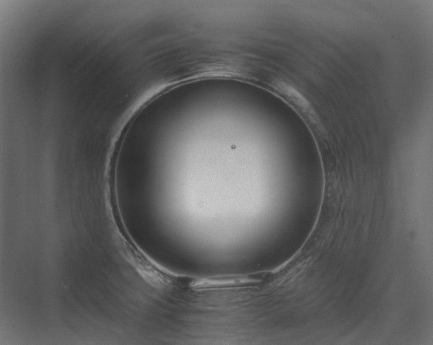 X0000075361427200609151625