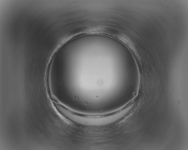 X0000075361429200609151625