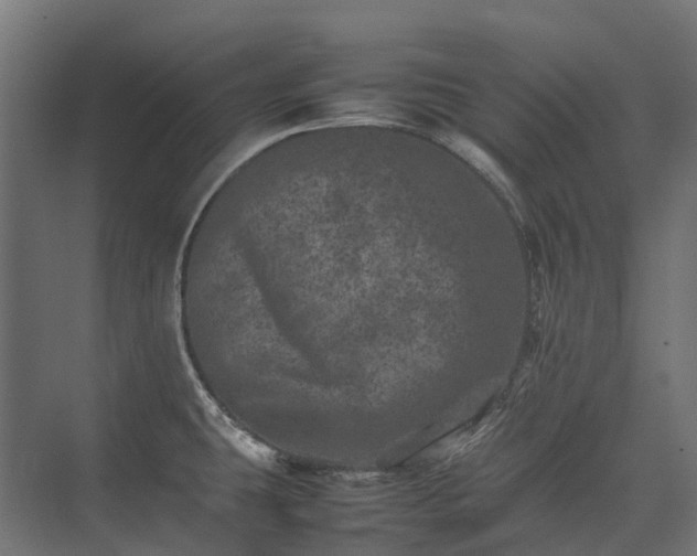 X0000075361431200609151625