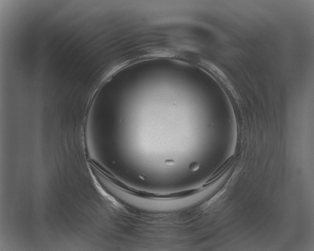 X0000075361433200609151625