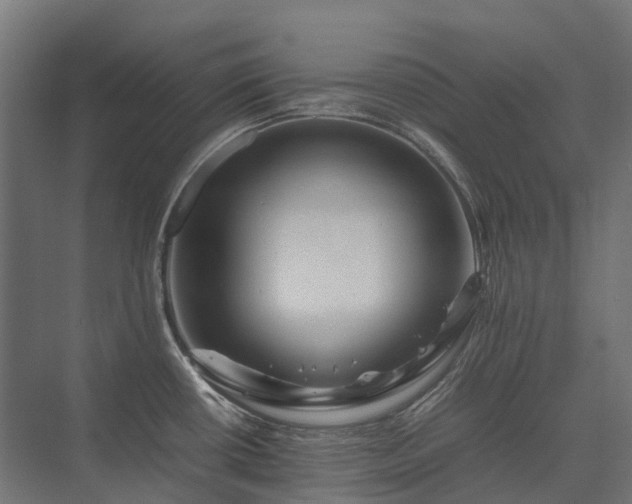 X0000075361434200609151625