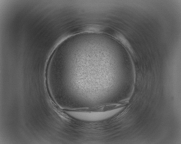 X0000075361435200609151625