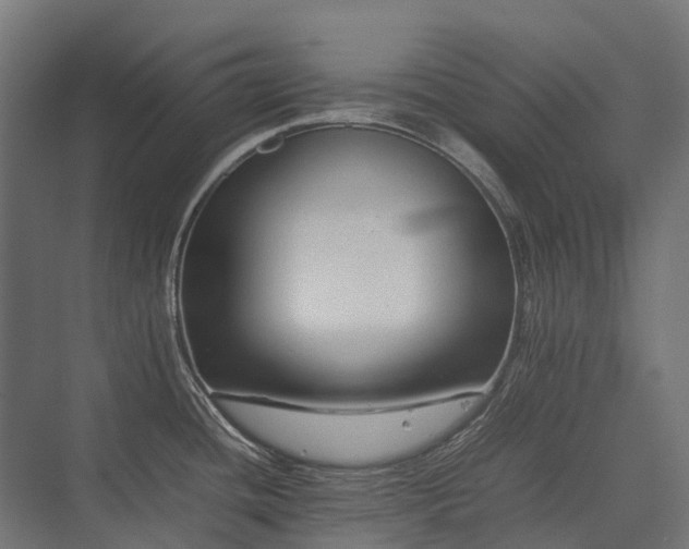 X0000075361436200609151625