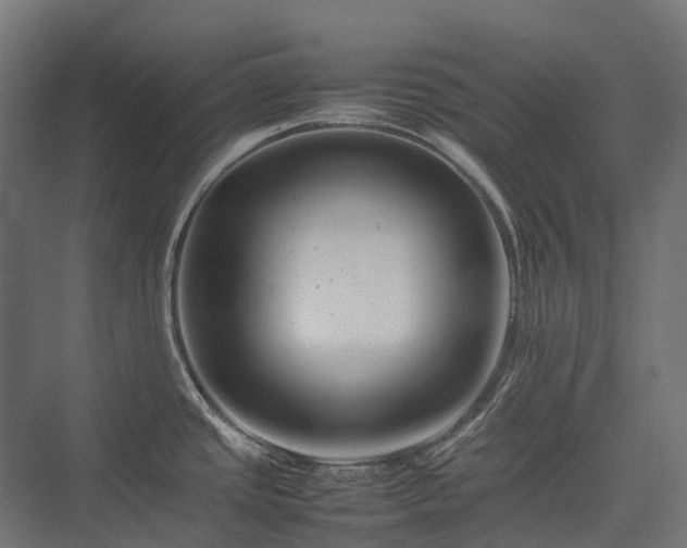 X0000075361437200609151625