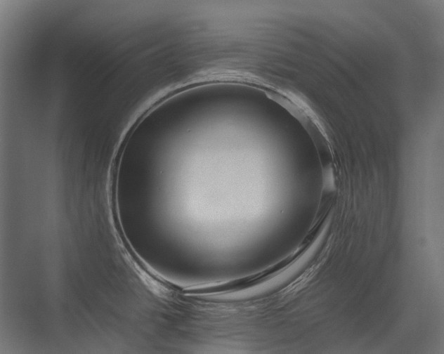 X0000075361438200609151625