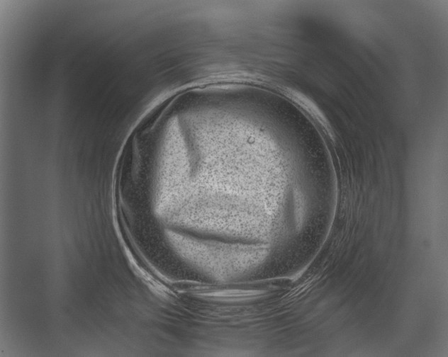 X0000075361439200609151625